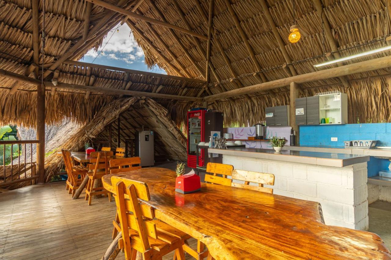 El Zoo Hostel, Bar & Pool Palomino Exteriér fotografie
