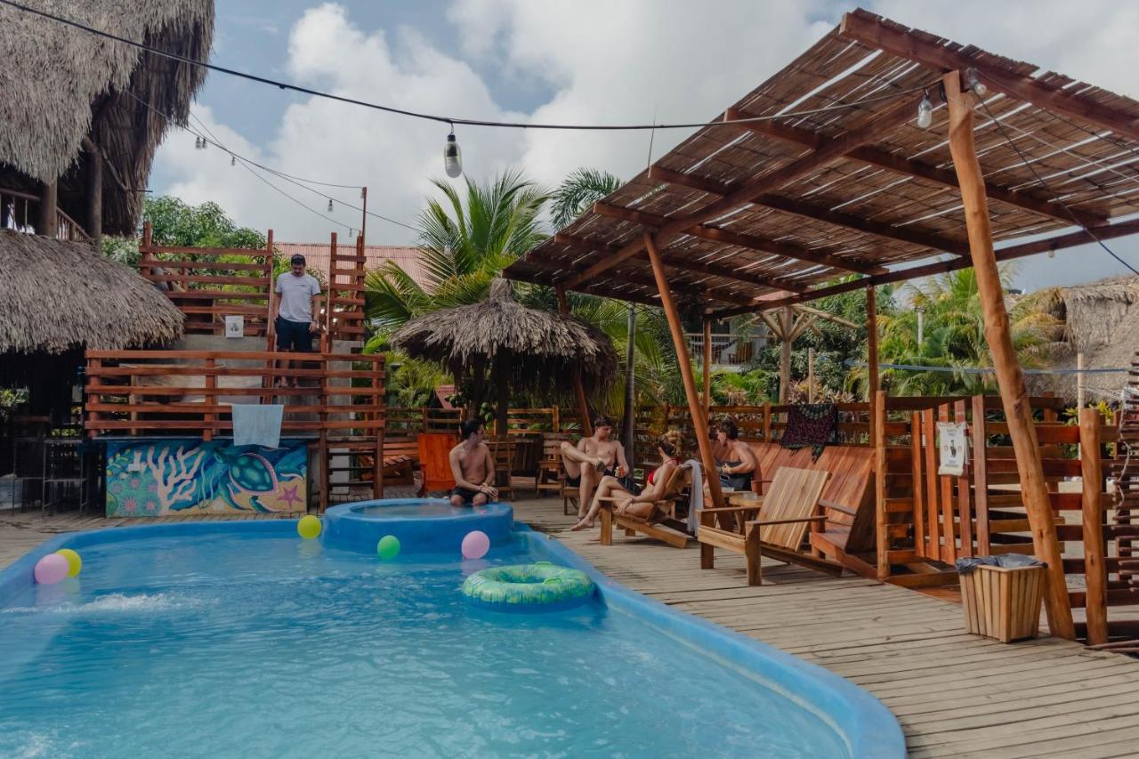 El Zoo Hostel, Bar & Pool Palomino Exteriér fotografie